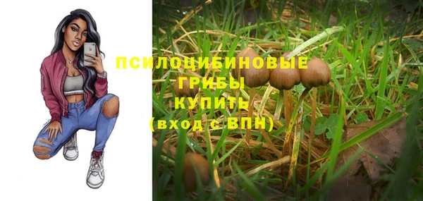 mdpv Богородск